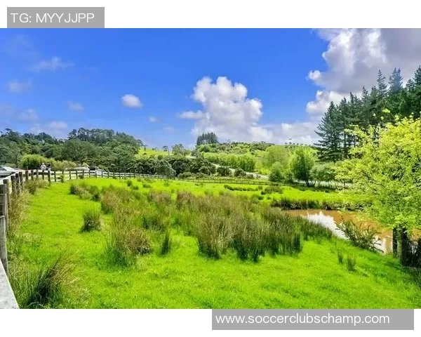 探索摩尔特里：揭示这座城市的历史文化与未来发展潜力